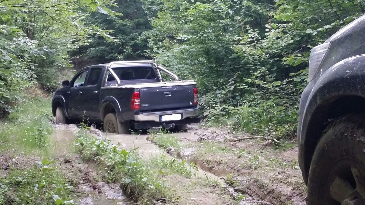 Pickup - Ofroad - Driving